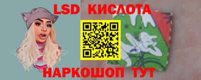 шишки Краснознаменск