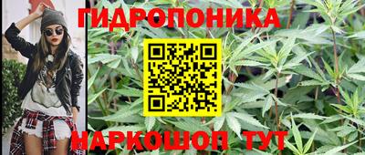 тгк Краснодар