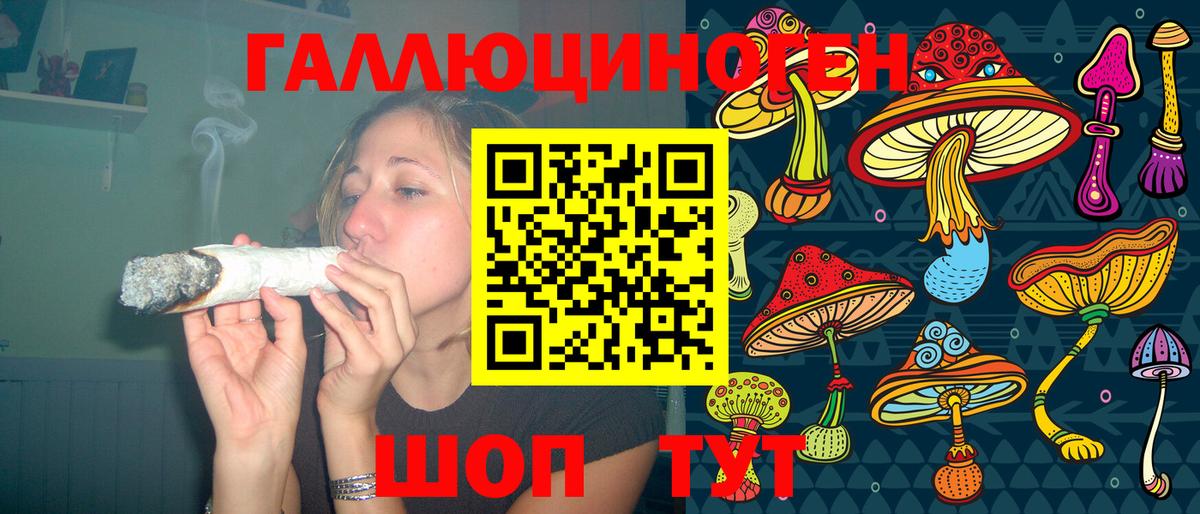 Галлюциногенные грибы Psilocybine cubensis Звенигород