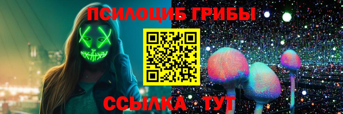 Звенигород  где найти наркотики  Вход с VPN  Псилоцибиновые грибы ЛСД  Галлюциногенные грибы ЛСД 
